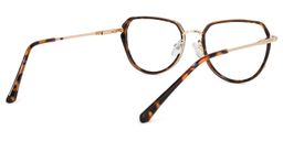 Hanson Geometric Tortoise Glasses4