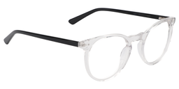 Fitzgerald Round Clear Glasses3