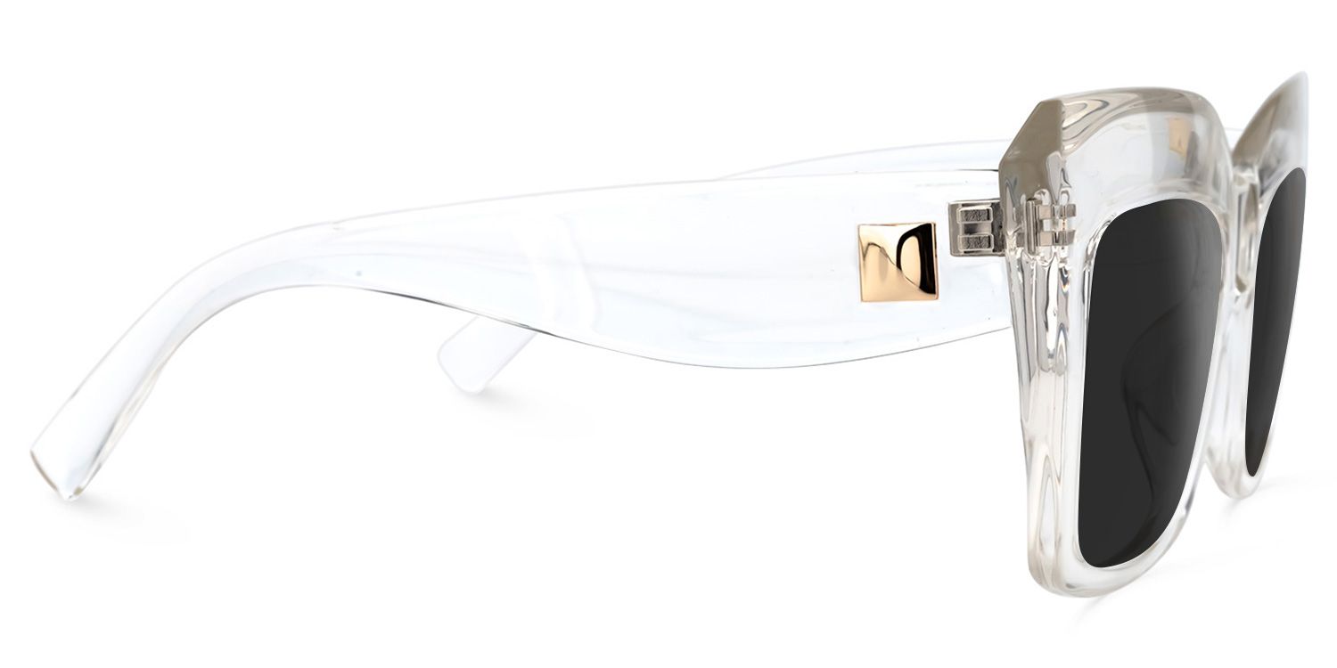 Alberta Plastic Clear Frame Sunglasses | ZEELOOL2