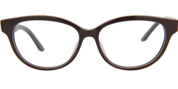 Reed Cat Eye Brown Glasses0