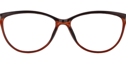 Tracy Browline Brown Glasses5