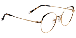 Lindsay Titanium Gold Glasses3