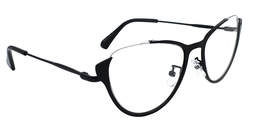 Chamberlain Cateye Glasses12