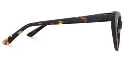 Alastair Cat eye Tortoise Glasses3