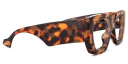 Reece Geometric Tortoise Glasses3