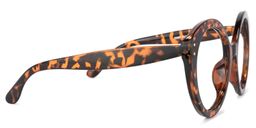 Tristen Geometric Tortoise Glasses3