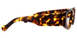 Sofia Geometric Tortoise Glasses3