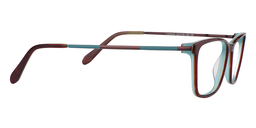 Alfred Rectangle Brown Glasses4