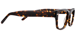 Cora Rectangle Tortoise Glasses4