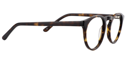 Angela Round Tortoise Glasses4