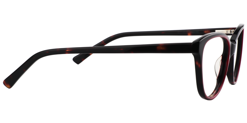 Oval Tortoise Glasses4