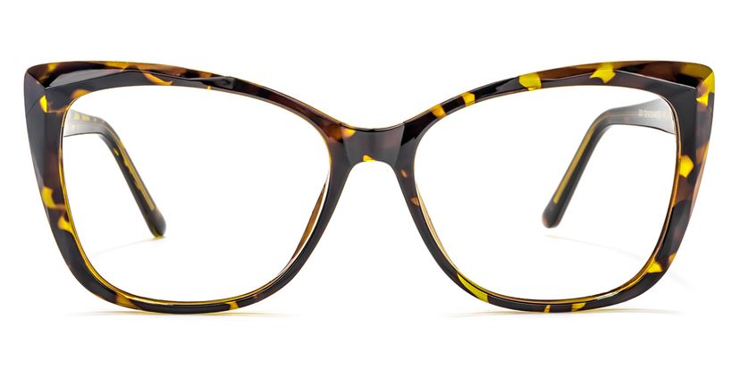 Farris Square Tortoise Glasses