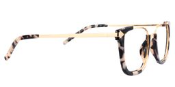Ahern Square Tortoise Glasses4
