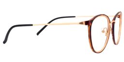 Aldrich Round Tortoise Glasses4