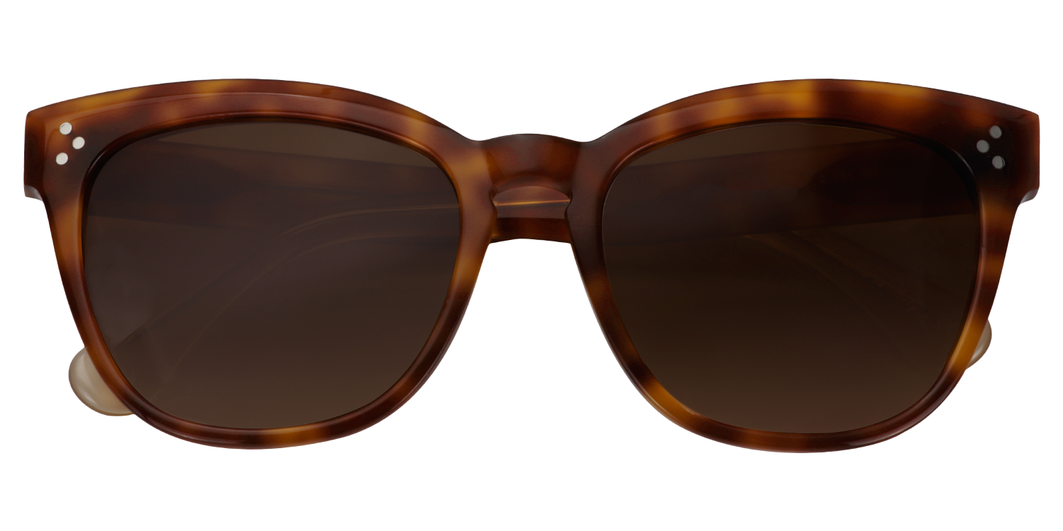 Cat-eye Tortoise Sunglasses | Zeelool Sunglasses1