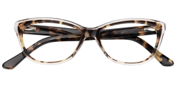 Kakey Cat Eye Tortoise Glasses1