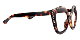 Flora Butterfly Tortoise Eyeglasses3