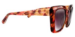 Caesar Square Brown Sunglasses4