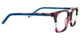 Aesop Square Red Tortoise Glasses4