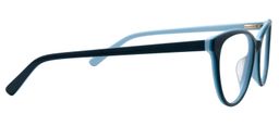 Adolphus Oval Dark Blue Glasses4