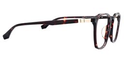 Agnes Tortoise Glasses4