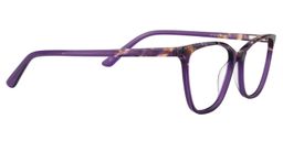 Alden Square Purple Glasses4