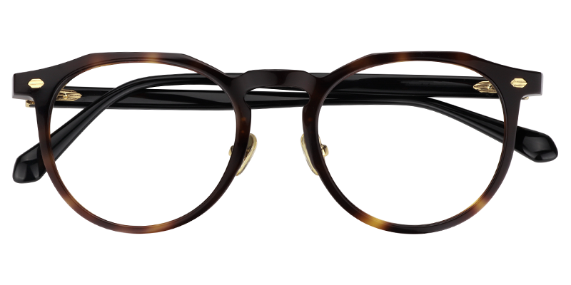 Round Tortoise Glasses | Zeelool Eyeglasses Online1