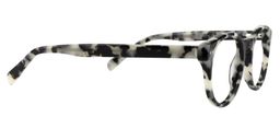 Alberta Round Light Tortoise Glasses4