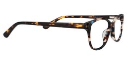 Calixte Oval Blue Tortoise Glasses4