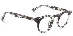 Abigail Round Gray Glasses4
