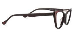 Candace Cat eye Brown Glasses4
