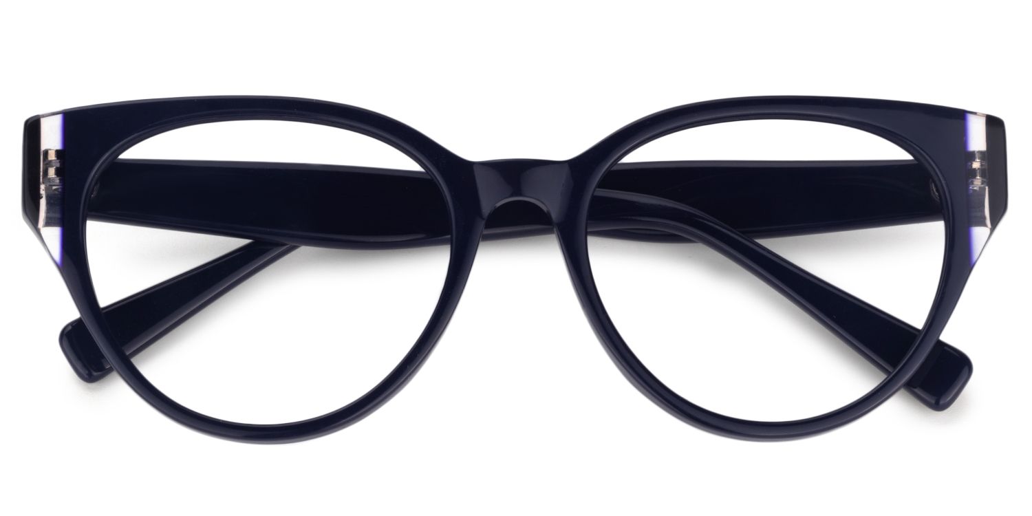 Oval Dark Blue Glasses | Zeelool Glasses1