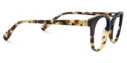 Carney Round Tortoise Glasses4