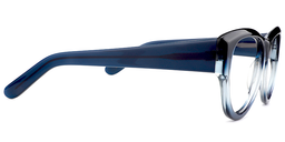 Isaac Round Dark Blue Glasses4