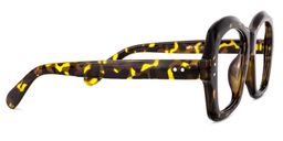 Mckenzie Square Tortoise Glasses3