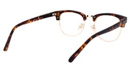 Alston Browline Tortoise Glasses5