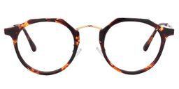  Fleur Geometric Tortoise Glasses0