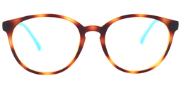 Robbie Round Gold Tortoise Glasses0