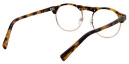 Aeneas Round Tortoise Glasses5