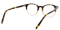 Alister Round Tortoise Glasses5
