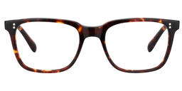Lamont Tortoise Rectangle Glasses1