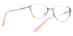 Calandra Cat eye Silver Glasses5