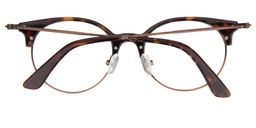 Giselle Browline Tortoise Glasses5