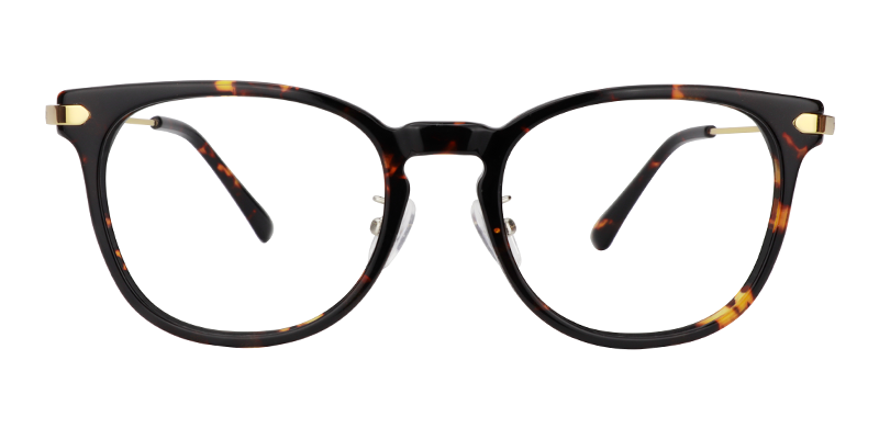 Oval Tortoise Glasses | Zeelool Eyeglasses Online0