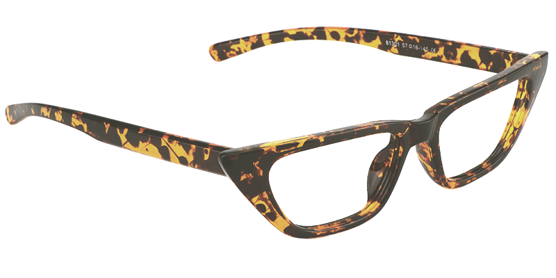 Geometric Tortoise Eyeglasses 4