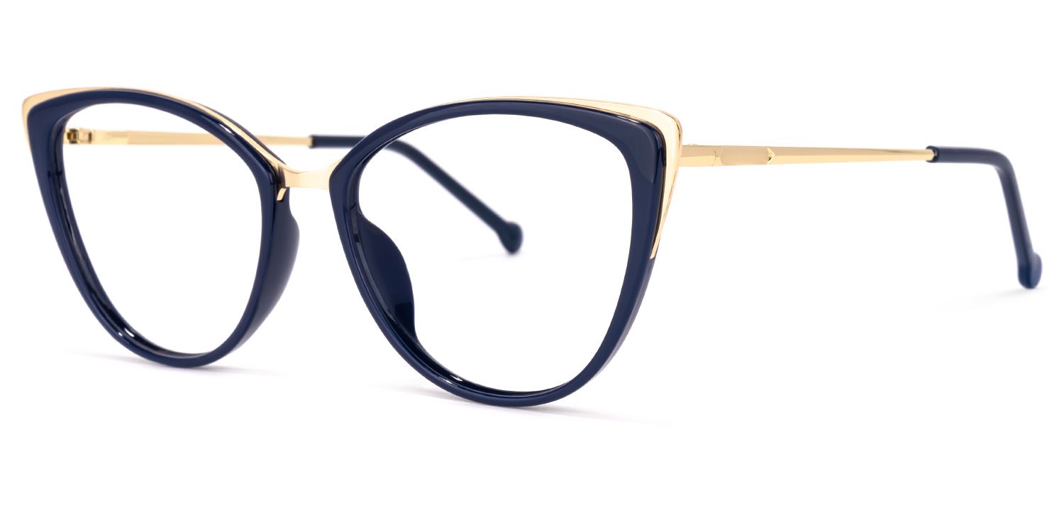 Buy Agnew Optical Glasses and EyeWear Frames on Zeelool1