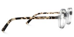 Render Asymmetric Gray Glasses2