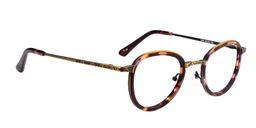 Adolph Round Tortoise Glasses2