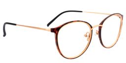 Aldrich Round Tortoise Glasses3