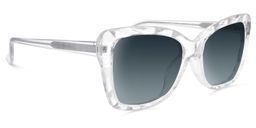 Edna Clear Rectangle Sunglasses2